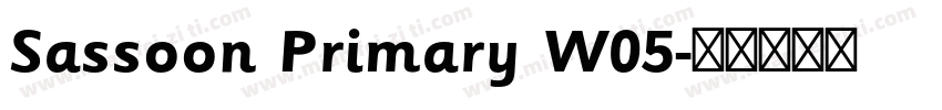 Sassoon Primary W05字体转换